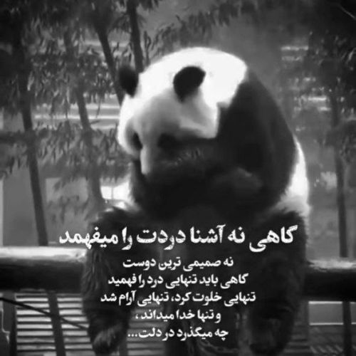 دانلود آهنگ نمیاد تا بدونه جای خالیش تو خونه واسه من یه زندونه از گوگوش